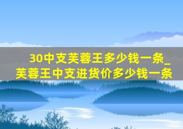 30中支芙蓉王多少钱一条_芙蓉王中支进货价多少钱一条