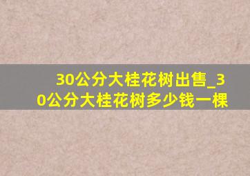 30公分大桂花树出售_30公分大桂花树多少钱一棵