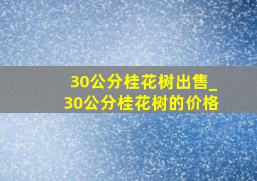 30公分桂花树出售_30公分桂花树的价格