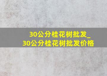 30公分桂花树批发_30公分桂花树批发价格