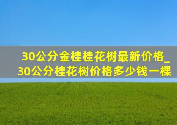 30公分金桂桂花树最新价格_30公分桂花树价格多少钱一棵