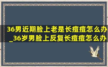 36男近期脸上老是长痘痘怎么办_36岁男脸上反复长痘痘怎么办