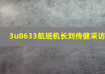 3u8633航班机长刘传健采访