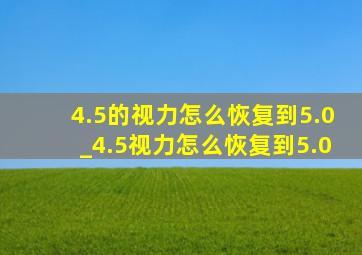 4.5的视力怎么恢复到5.0_4.5视力怎么恢复到5.0