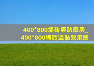 400*800墙砖竖贴厨房_400*800墙砖竖贴效果图