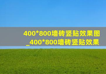 400*800墙砖竖贴效果图_400*800墙砖竖贴效果