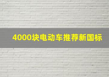 4000块电动车推荐新国标