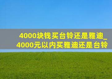 4000块钱买台铃还是雅迪_4000元以内买雅迪还是台铃