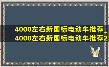 4000左右新国标电动车推荐_4000左右新国标电动车推荐2024