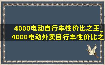 4000电动自行车性价比之王_4000电动外卖自行车性价比之王