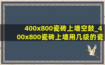 400x800瓷砖上墙空鼓_400x800瓷砖上墙用几级的瓷砖胶