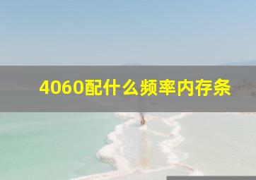 4060配什么频率内存条