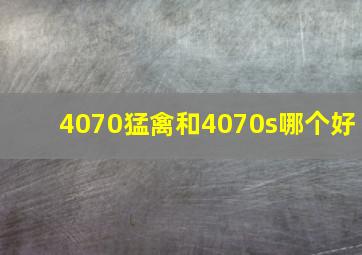 4070猛禽和4070s哪个好