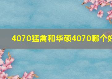 4070猛禽和华硕4070哪个好