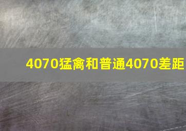 4070猛禽和普通4070差距