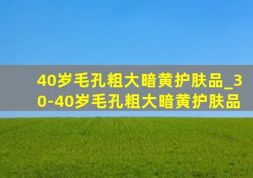 40岁毛孔粗大暗黄护肤品_30-40岁毛孔粗大暗黄护肤品