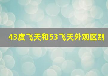 43度飞天和53飞天外观区别