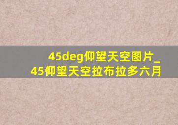 45°仰望天空图片_45仰望天空拉布拉多六月