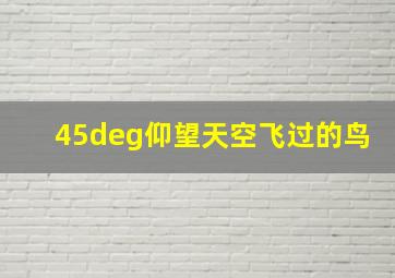 45°仰望天空飞过的鸟