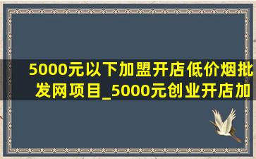 5000元以下加盟开店(低价烟批发网)项目_5000元创业开店加盟