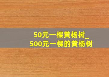 50元一棵黄杨树_500元一棵的黄杨树