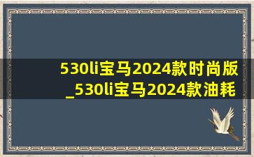 530li宝马2024款时尚版_530li宝马2024款油耗