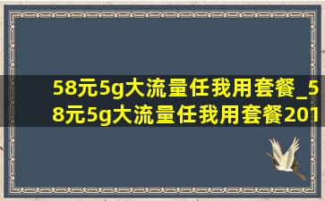 58元5g大流量任我用套餐_58元5g大流量任我用套餐2018版好用吗