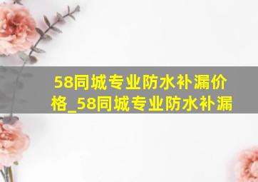 58同城专业防水补漏价格_58同城专业防水补漏