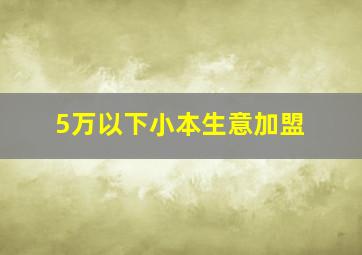 5万以下小本生意加盟