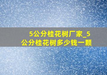 5公分桂花树厂家_5公分桂花树多少钱一颗