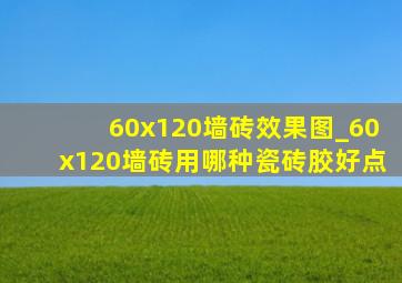 60x120墙砖效果图_60x120墙砖用哪种瓷砖胶好点