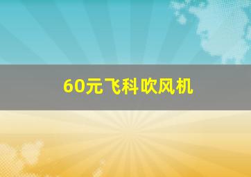 60元飞科吹风机