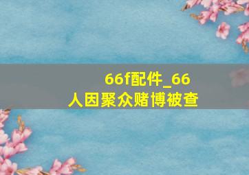 66f配件_66人因聚众赌博被查