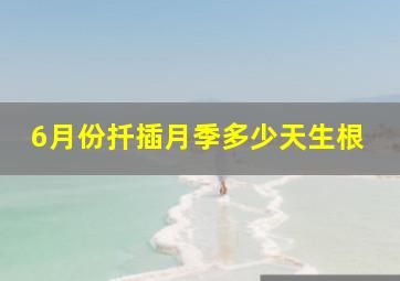 6月份扦插月季多少天生根