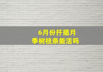 6月份扦插月季树枝条能活吗