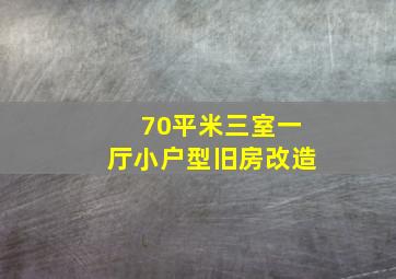 70平米三室一厅小户型旧房改造