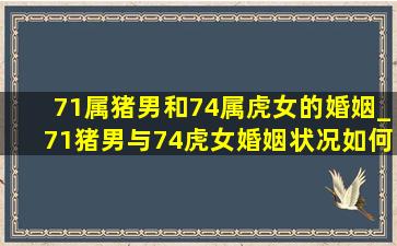 71属猪男和74属虎女的婚姻_71猪男与74虎女婚姻状况如何