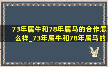 73年属牛和78年属马的合作怎么样_73年属牛和78年属马的婚姻(低价烟批发网)