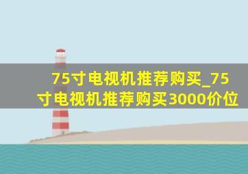 75寸电视机推荐购买_75寸电视机推荐购买3000价位