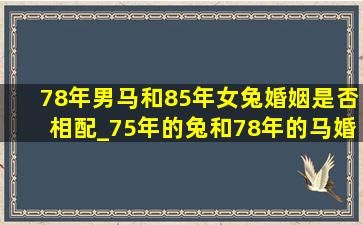 78年男马和85年女兔婚姻是否相配_75年的兔和78年的马婚姻怎么样