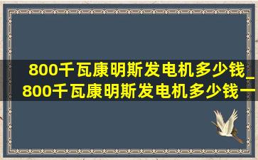 800千瓦康明斯发电机多少钱_800千瓦康明斯发电机多少钱一台