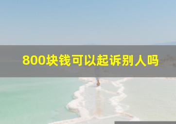 800块钱可以起诉别人吗