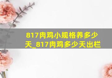 817肉鸡小规格养多少天_817肉鸡多少天出栏