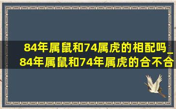 84年属鼠和74属虎的相配吗_84年属鼠和74年属虎的合不合