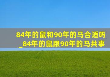 84年的鼠和90年的马合适吗_84年的鼠跟90年的马共事