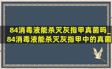 84消毒液能杀灭灰指甲真菌吗_84消毒液能杀灭灰指甲中的真菌吗