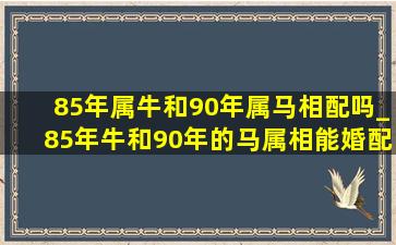 85年属牛和90年属马相配吗_85年牛和90年的马属相能婚配吗