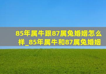 85年属牛跟87属兔婚姻怎么样_85年属牛和87属兔婚姻