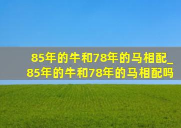 85年的牛和78年的马相配_85年的牛和78年的马相配吗