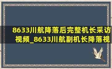 8633川航降落后完整机长采访视频_8633川航副机长降落视频完整